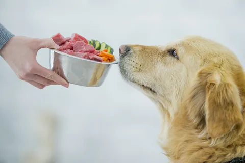 best pet food NZ for dogs and cats